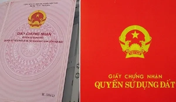 Đảm bảo quyền lợi hợp pháp cho cả người mua và người bán