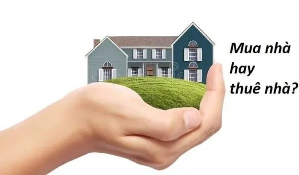 Sở hữu tài sản và xây dựng vốn chủ sở hữu