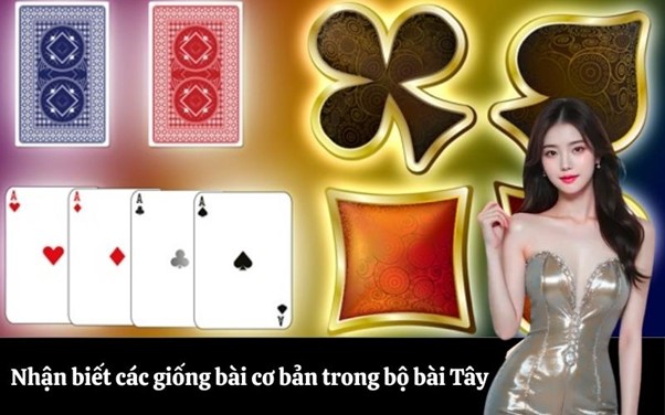 Nhận biết các giống bài cơ bản trong bộ bài Tây