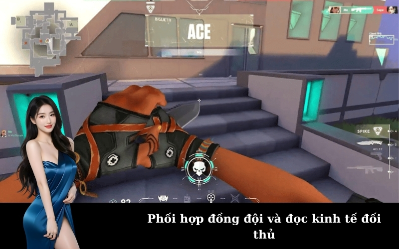 Phối hợp đồng đội và đọc kinh tế đối thủ